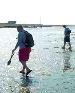 Fossil collecting at Bracklesham