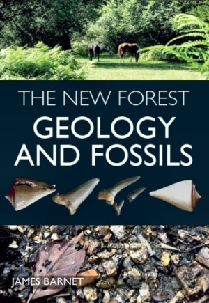 New Forest Geology & Fossils.