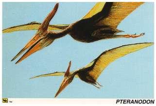 Pepsi Pteranodon