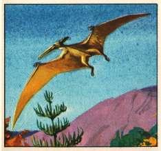 Texan Prehistoric Animals Pteranodon