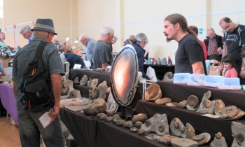 Dealers at Hampshire Mineral & Fossil Show.