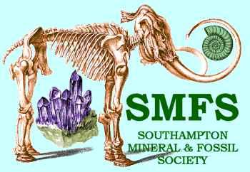 SMFS Logo